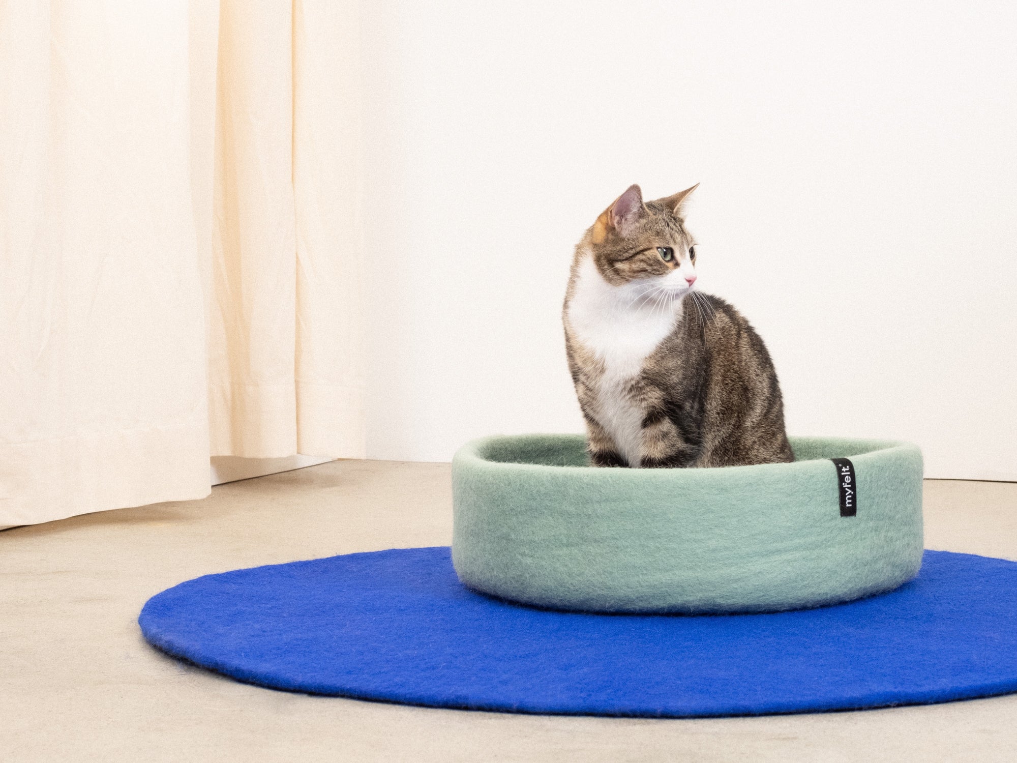 Schöner Katzenkorb