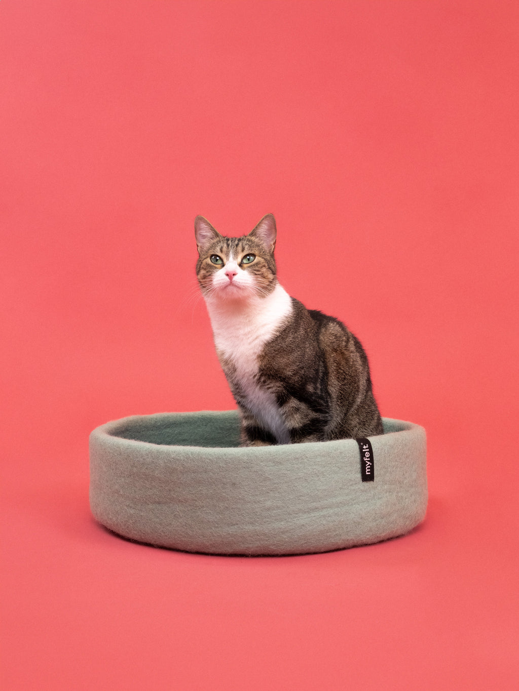Schöner Katzenkorb