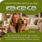 Ausgewogenes Verhalten – Hunde