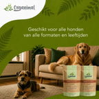 Ausgewogenes Verhalten – Hunde