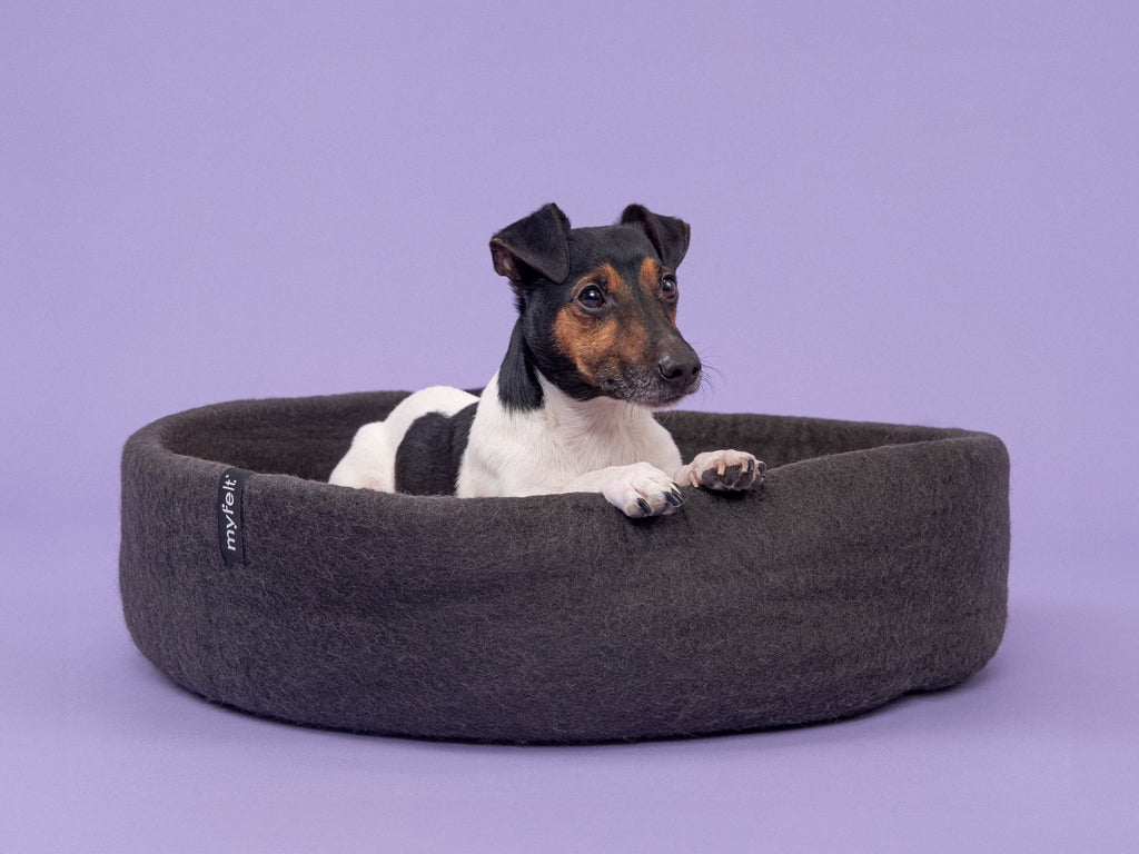 Kuno Hundekorb