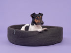 Kuno Hundekorb
