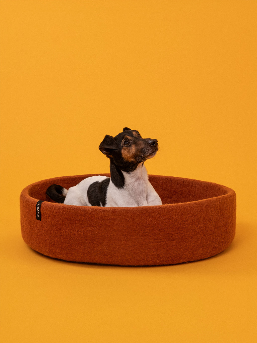 Lora Hundekorb