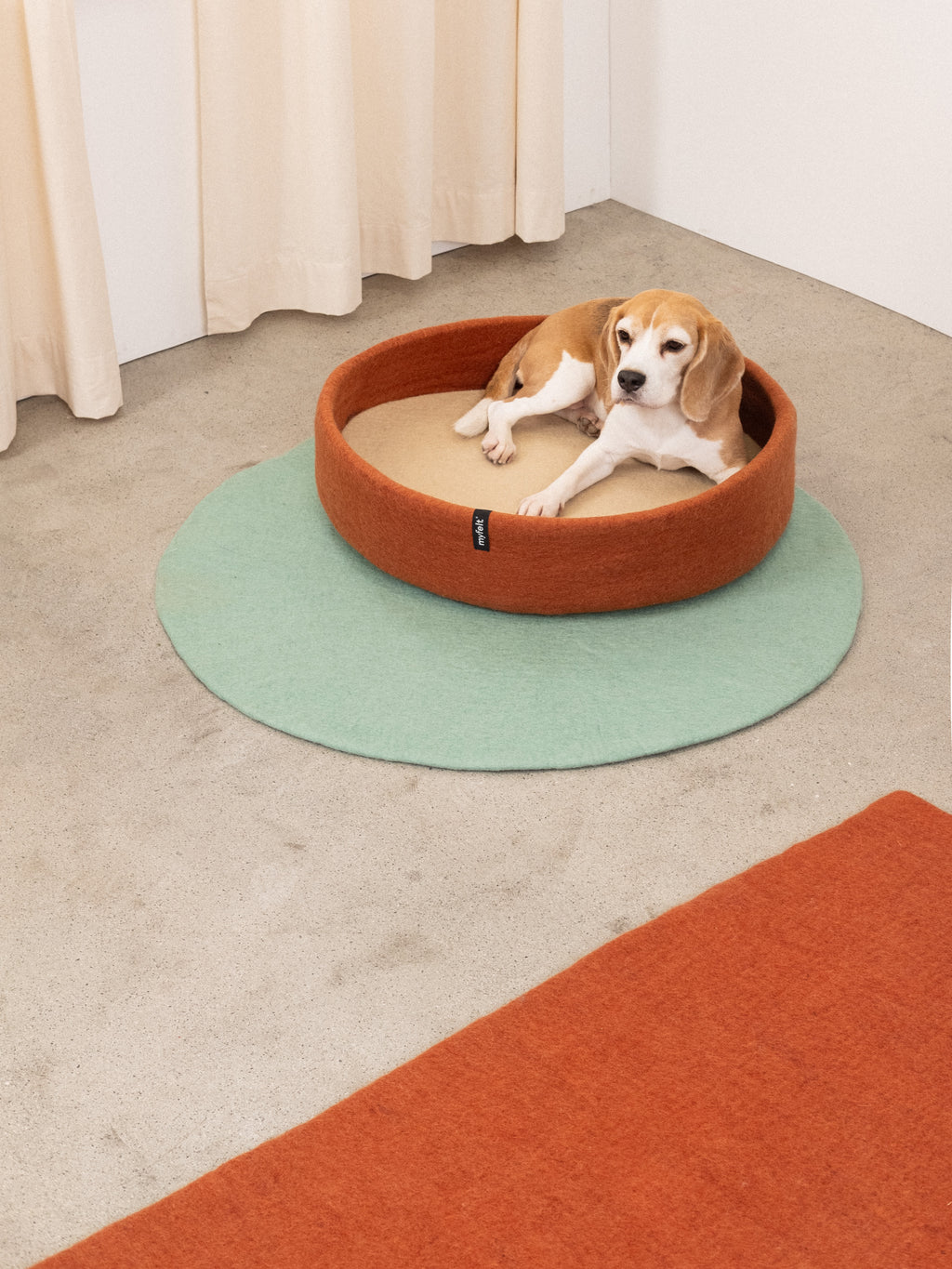 Lora Hundekorb